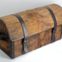 Gillock_Trunk_1