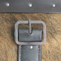 Gillock_Trunk_5