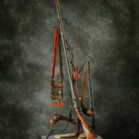 Warrior 10