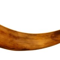 eitnier2