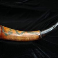 scott-vail4