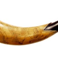 tansel_1_001
