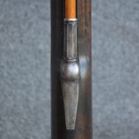 tornichio04