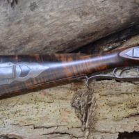 tornichio16