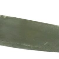 Spine